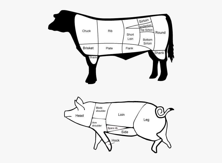 Cuts Of Beef, Transparent Clipart