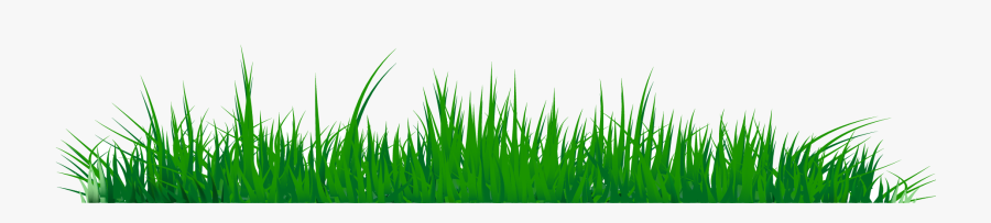 Grass Clipart Transparent Png - Grass Clipart, Transparent Clipart