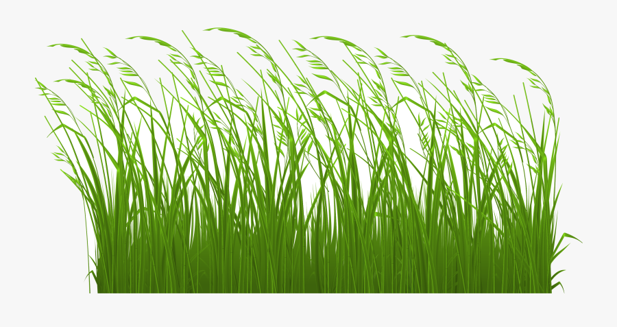 Grass Decorative Clipart Picture Gallery High Transparent - Grass Gif Clip Art, Transparent Clipart