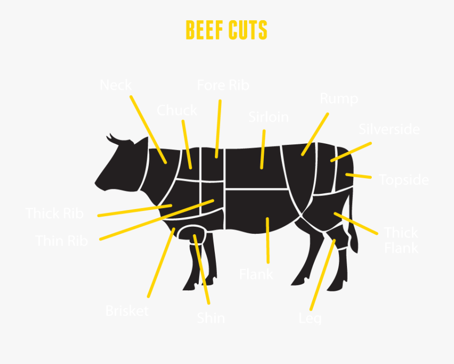 Meat Cuts Poster, Transparent Clipart