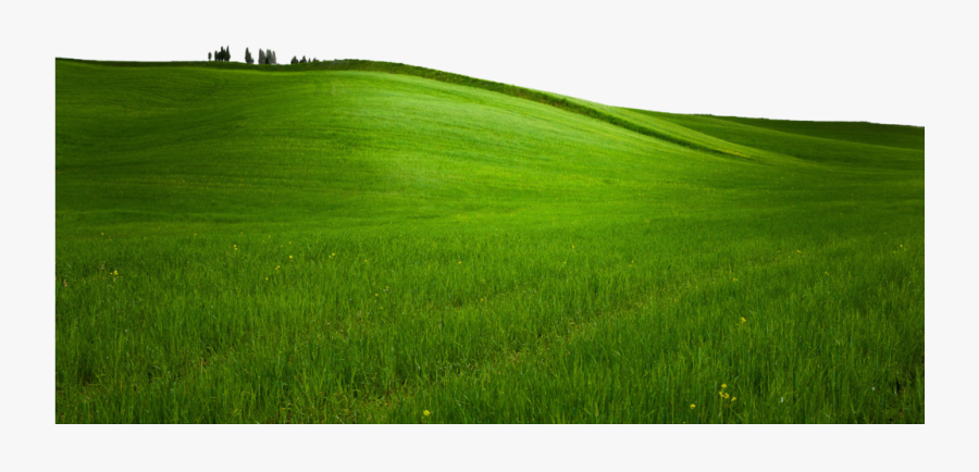 Grass Png Icons Pinterest - Field, Transparent Clipart