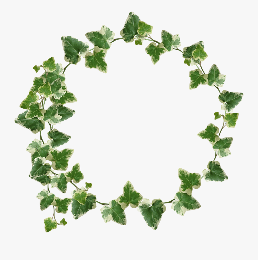 Greenery Wreath Clipart, Transparent Clipart