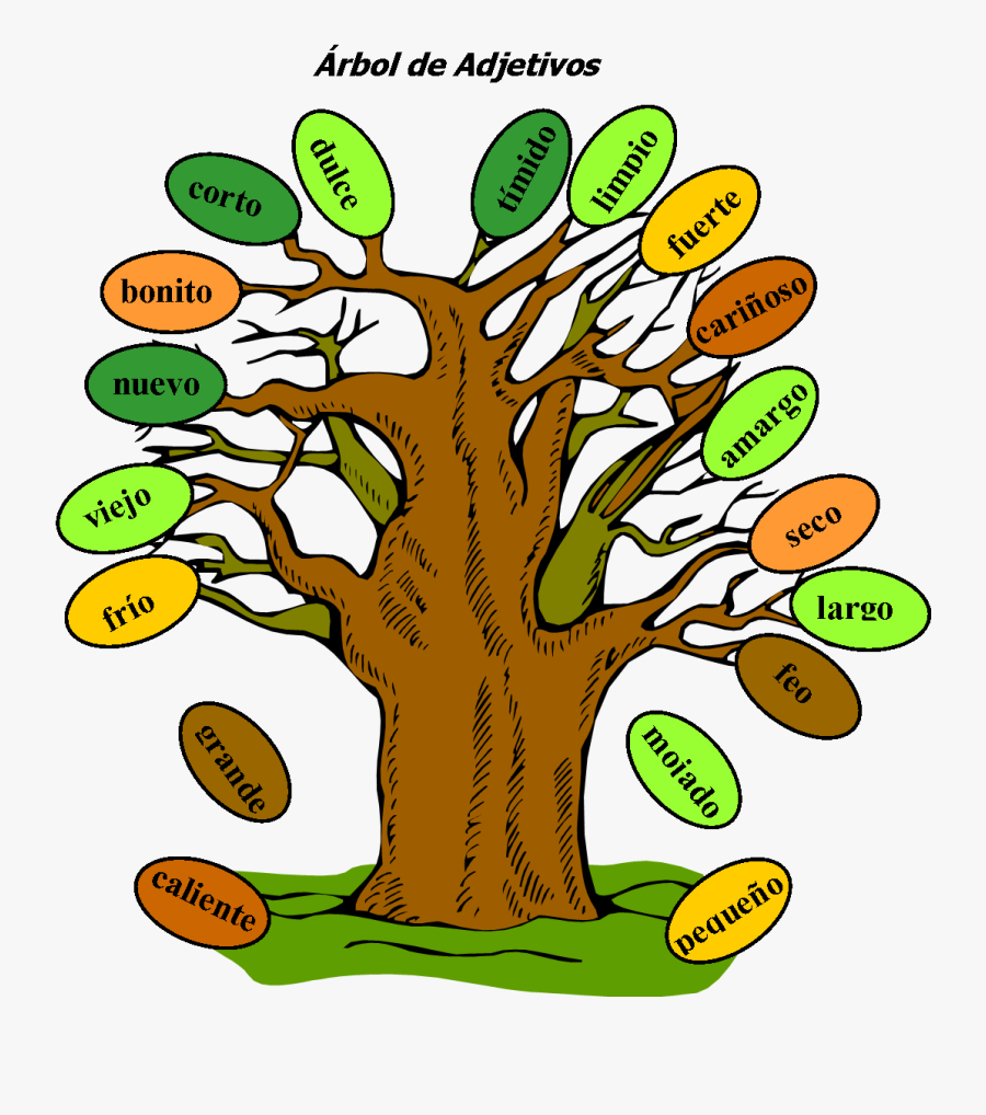 Rbol De Adjetivos - Model Of Adjective Tree, Transparent Clipart