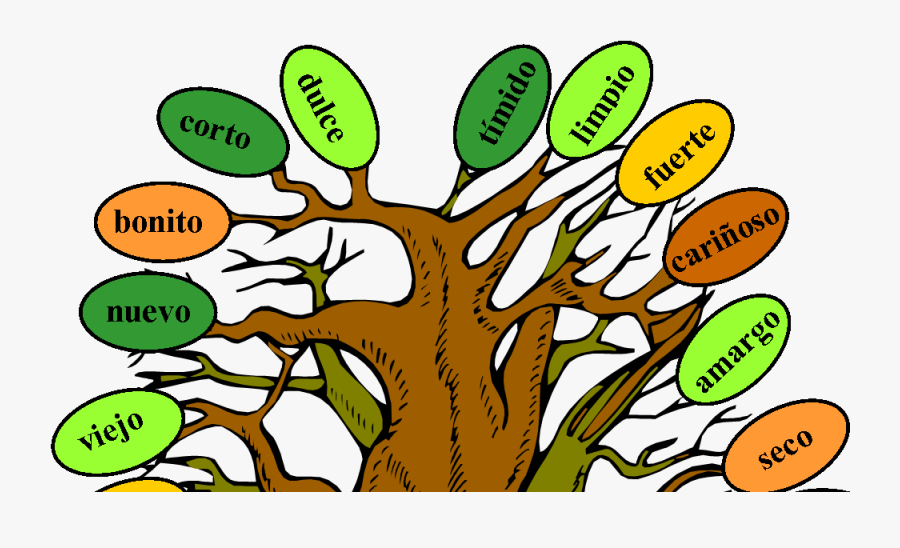 Music And Spanish Fun Tree Of Adjectives - Adjective Of A Tree, Transparent Clipart