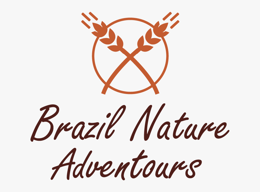 Unclog And Clean A Well"s Submersible Water Pump, Transparent Clipart