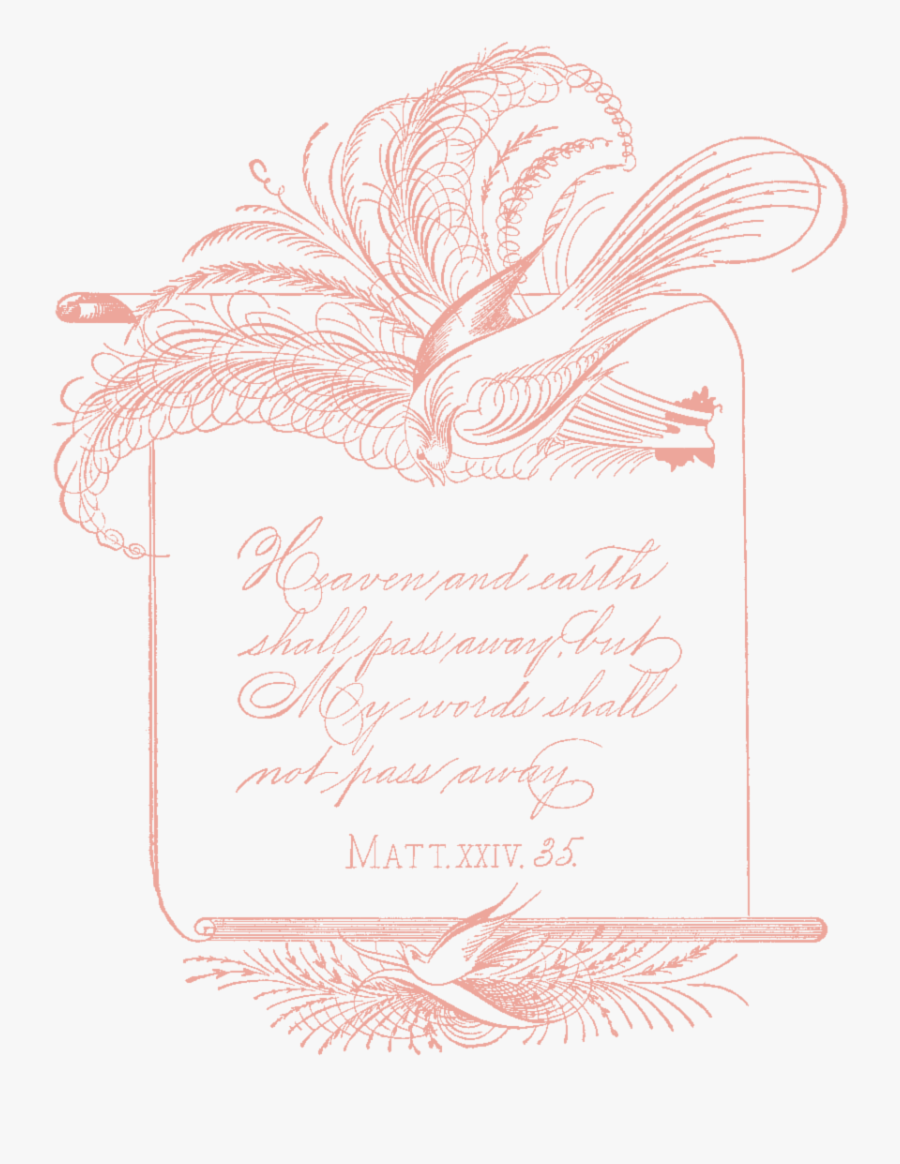 Ssfs Spencerian Calligraphy 1 - Spencerian Script, Transparent Clipart