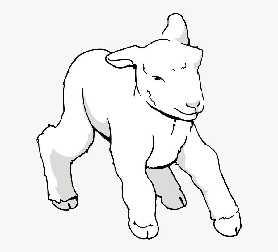 Dibujos Corderos Sin Copyright, Transparent Clipart