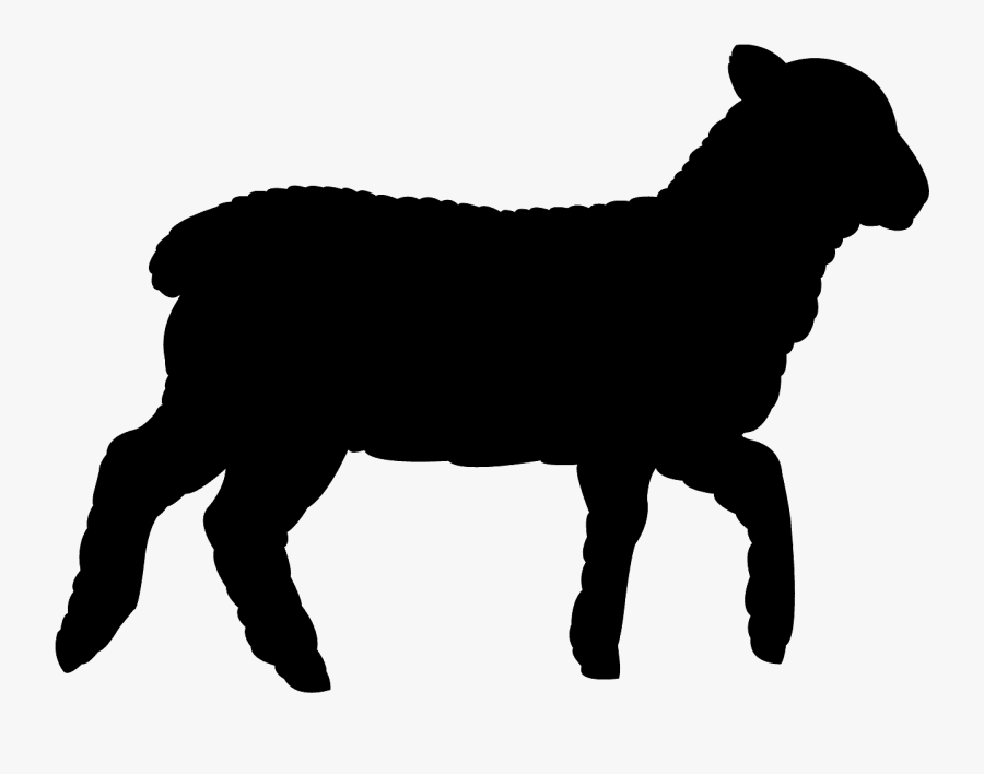 Lamb, Transparent Clipart