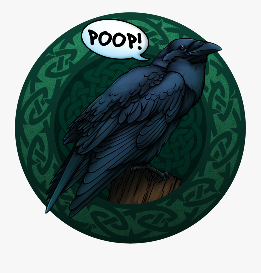 Fofo S Sketchbook Tshirt - Vaux S Swift, Transparent Clipart