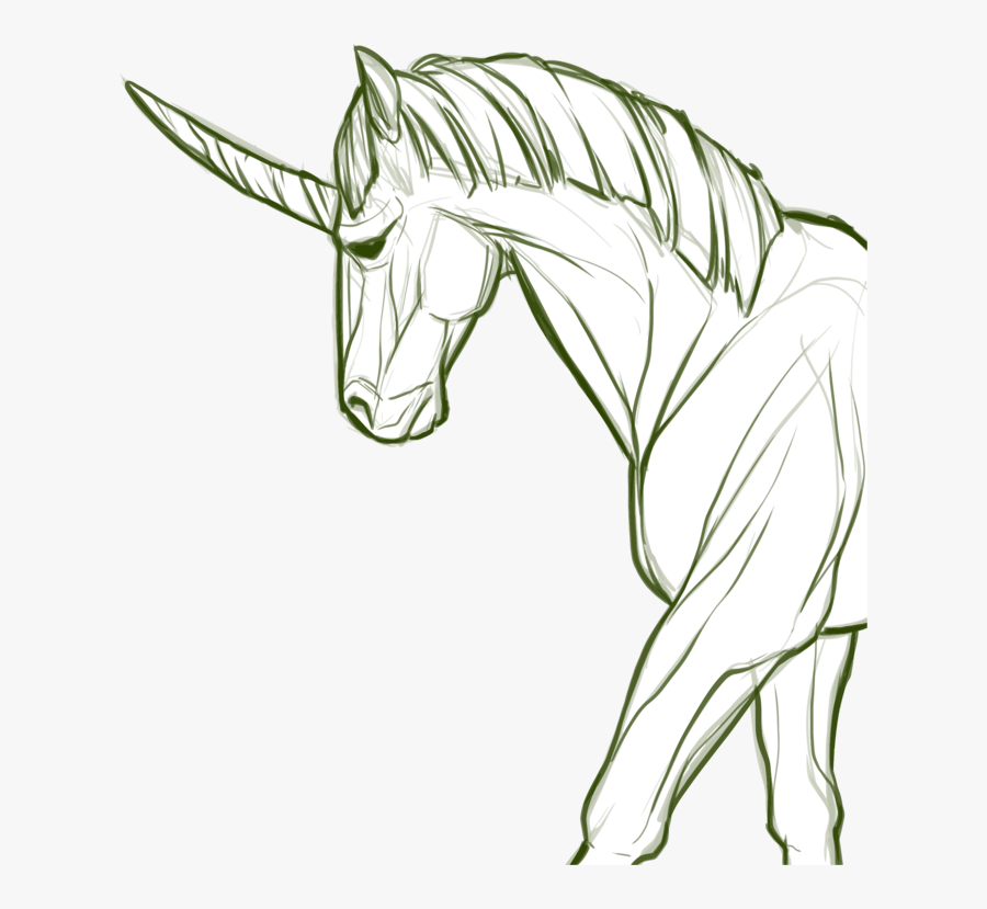 Line Art,horse,mare - Unicorn Drawing Easy, Transparent Clipart