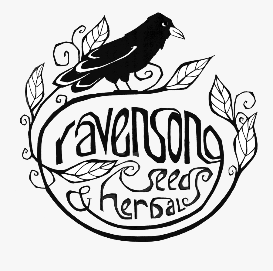 Transparent Fire Clipart Black And White - Perching Bird, Transparent Clipart