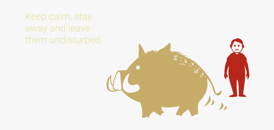 Illustration, Transparent Clipart