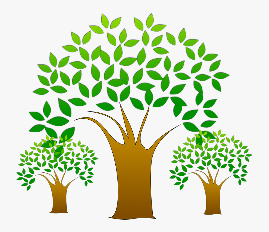 The Frost On The Tree - Vector Tree Clipart Tree Logo, Transparent Clipart