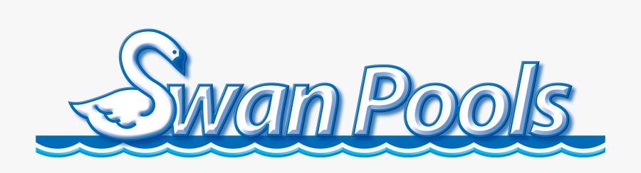 Swan Pools, A Custom Swimming Pool Company Celebrating - Swan Pools, Transparent Clipart