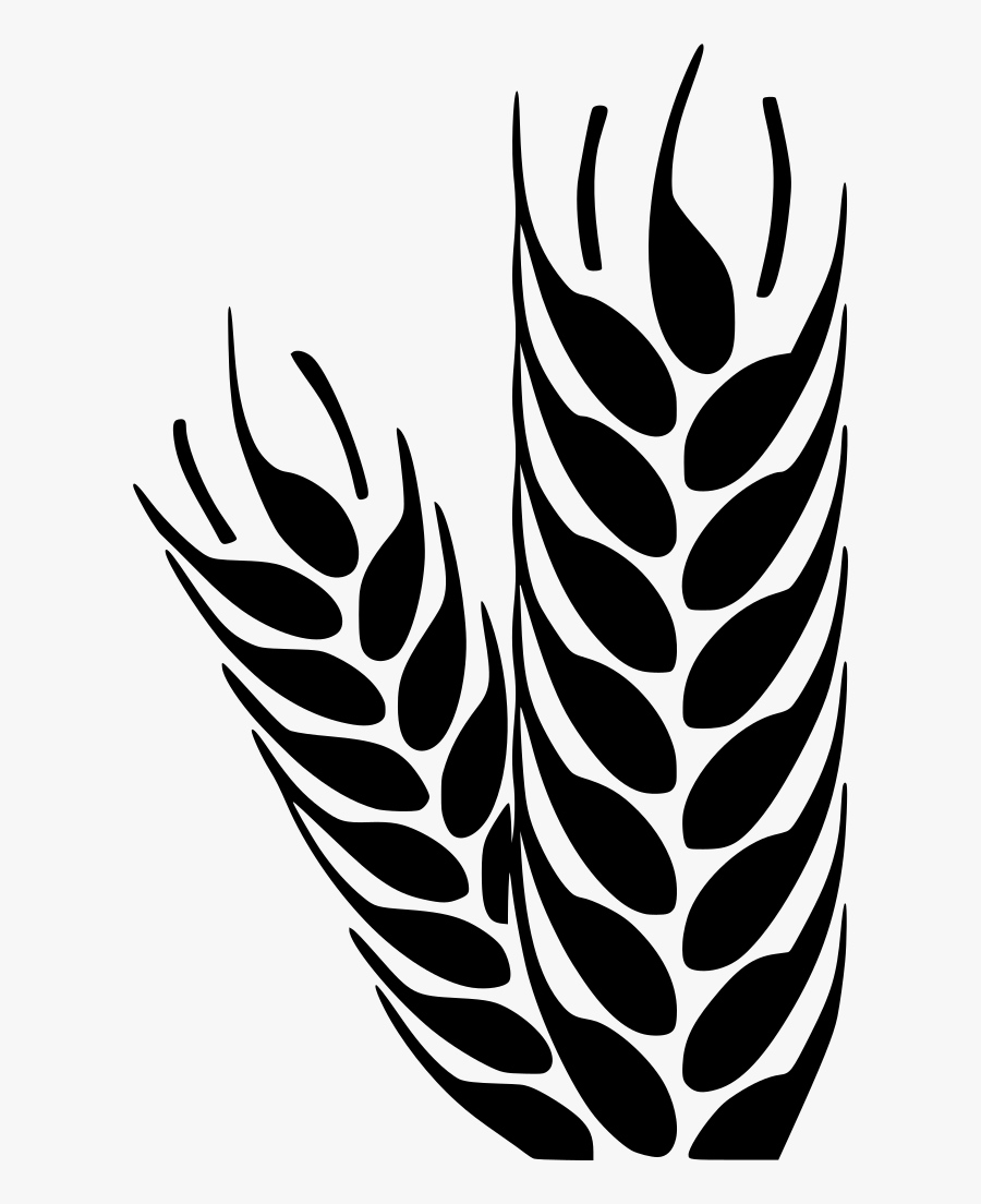 Vectores Espigas De Trigo Png Clipart , Png Download - Agriculture Visiting Card Design, Transparent Clipart