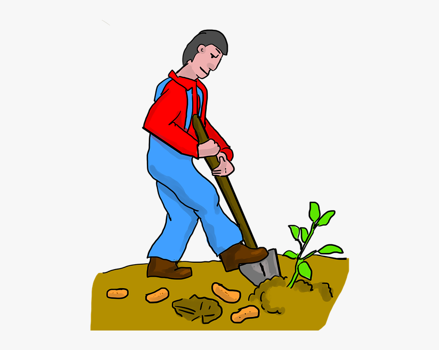 Transparent Farm Clip Art, Transparent Clipart