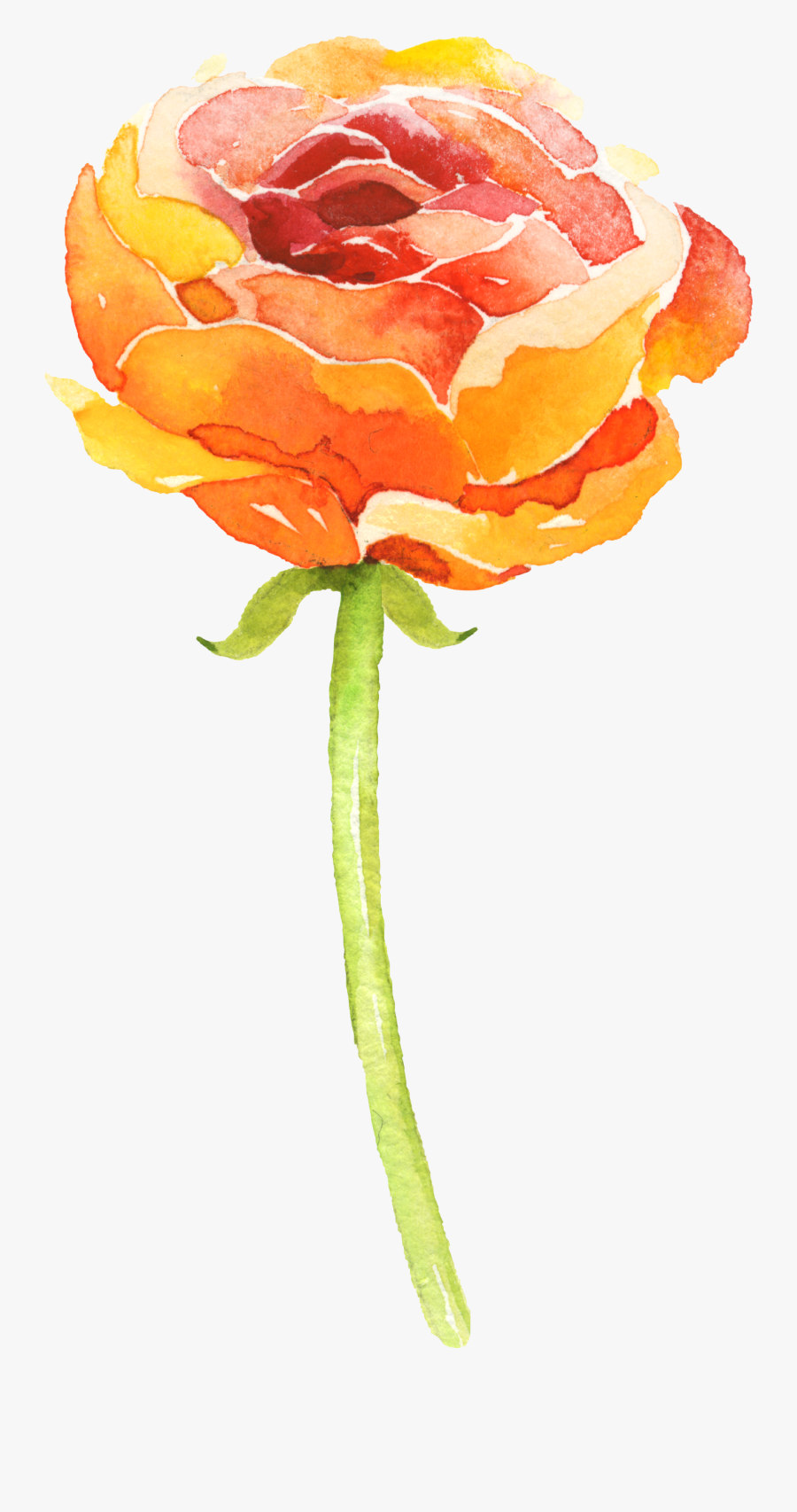 Clip Art Watercolour Art - Orange Watercolor Flowers Png, Transparent Clipart