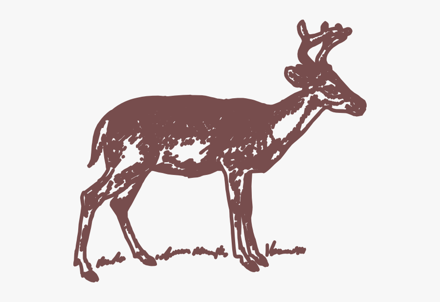 Venado Sabanero Para Dibujar, Transparent Clipart
