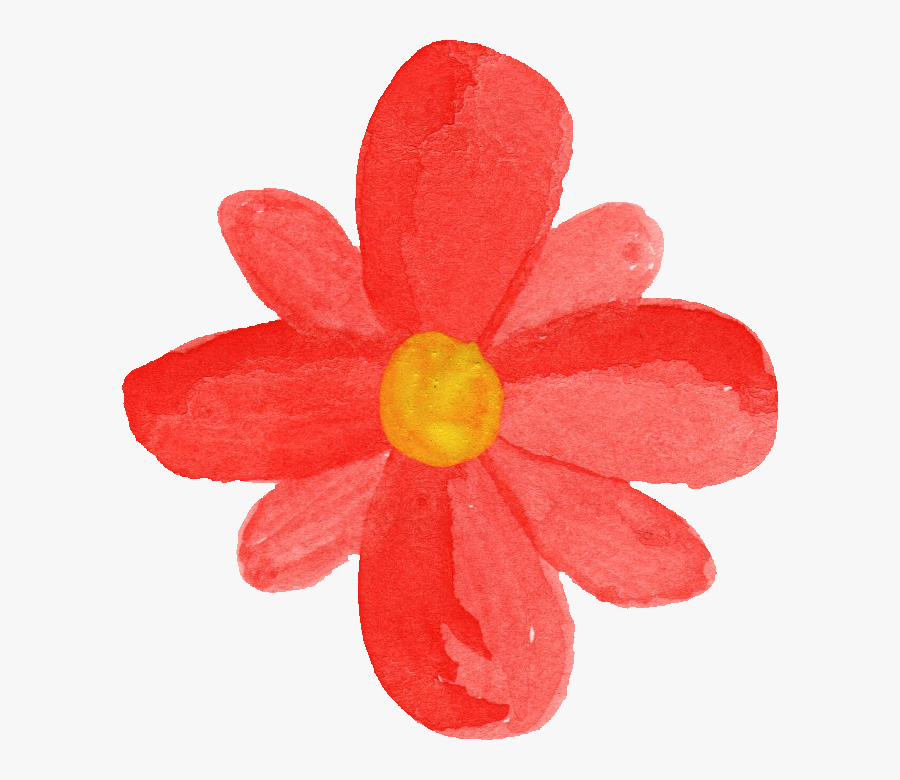 Dicotyledon, Transparent Clipart