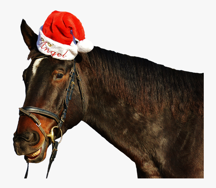 Cute Christmas Horse, Transparent Clipart
