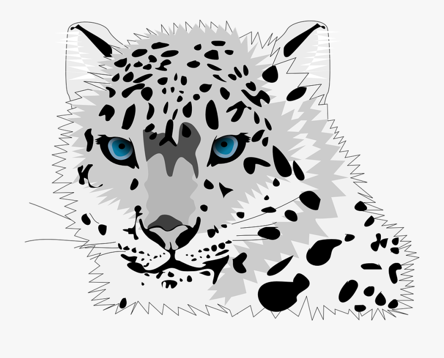 Animal, Cat, Leopard, Snow Leopard, Wild Cat - Snow Leopard Clip Art, Transparent Clipart