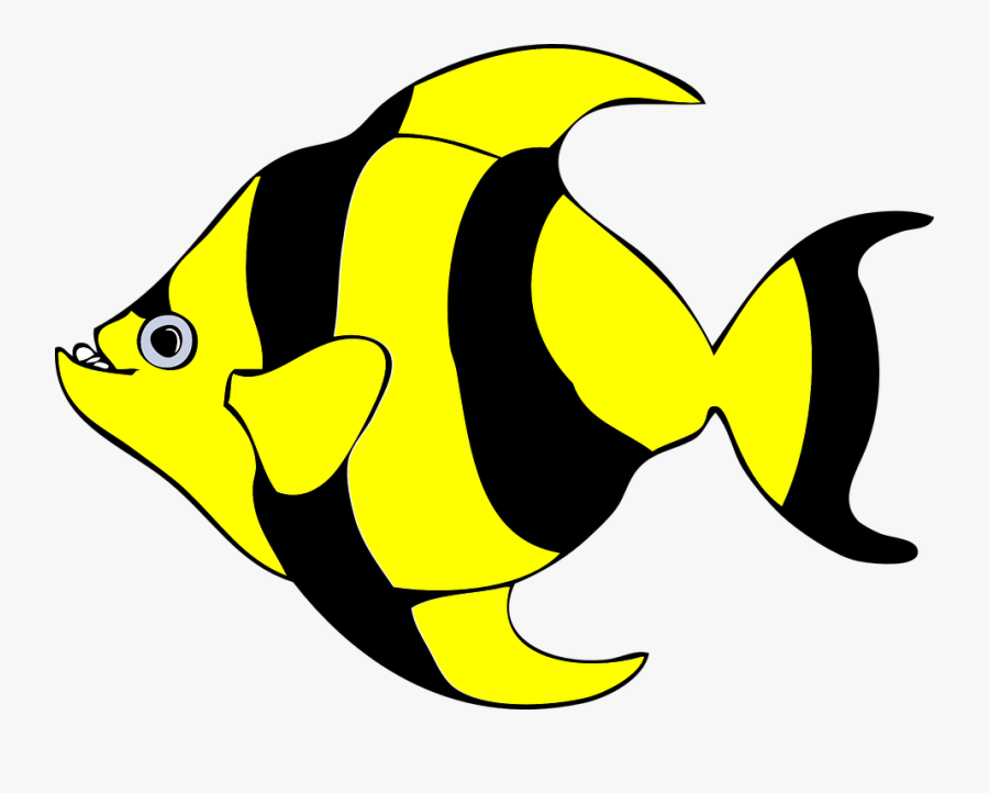 Fish, Stripes, Fins, Tail, Yellow, Black, Bee, Grin - Fish Clipart, Transparent Clipart