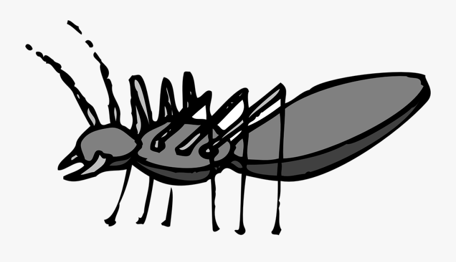 Clip Art, Transparent Clipart