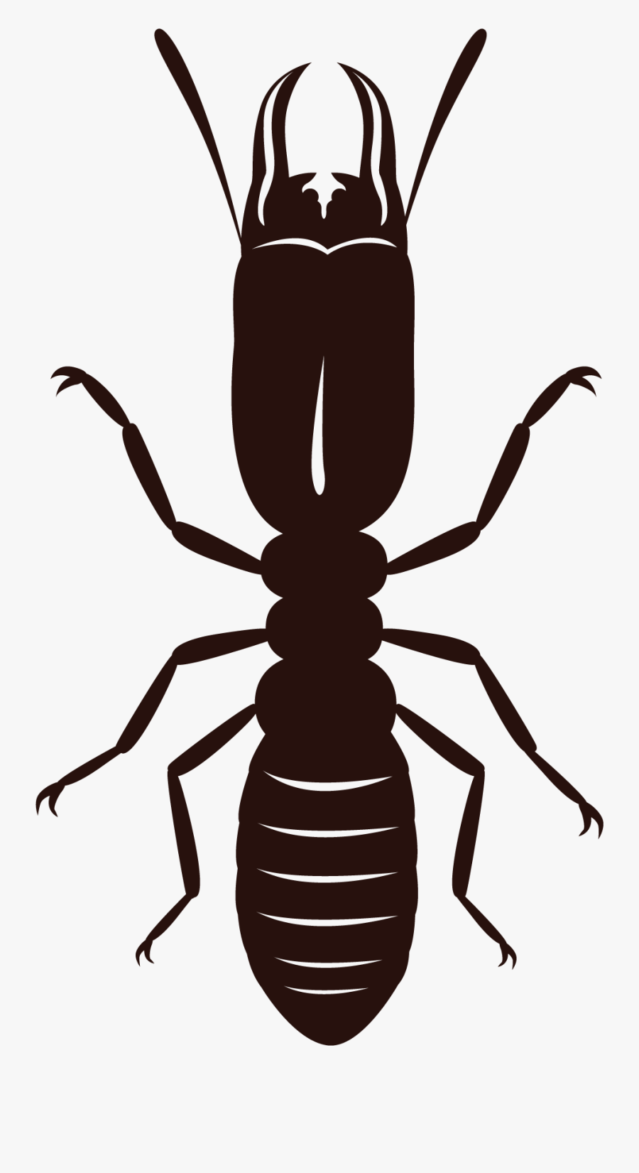 Termite Png Hd - Termite Vector, Transparent Clipart