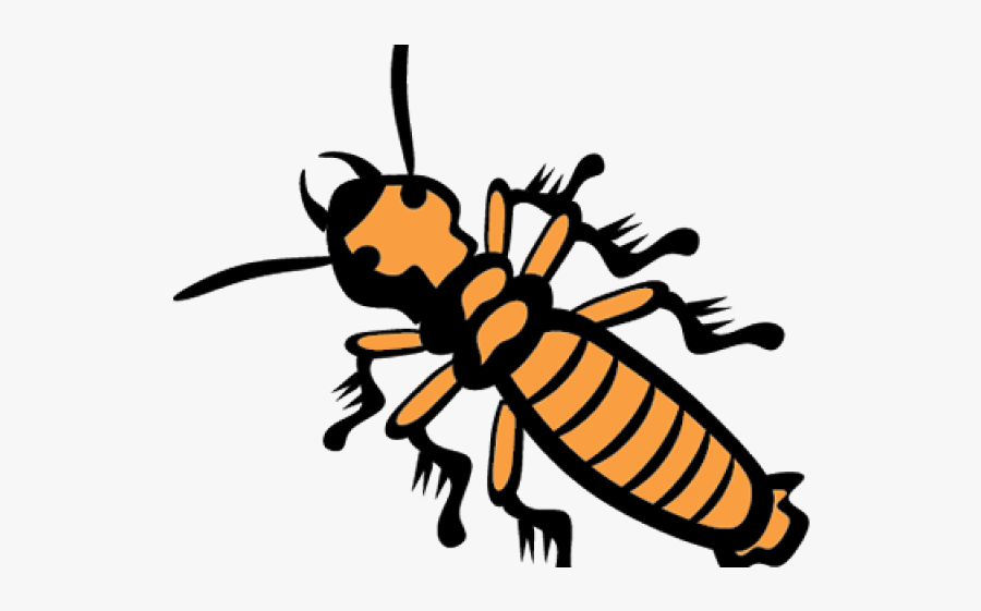 No Termite Cliparts, Transparent Clipart