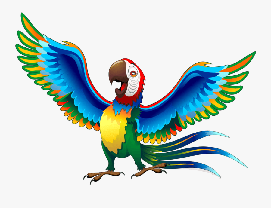 Cartoon Parrot Transparent Background, Transparent Clipart