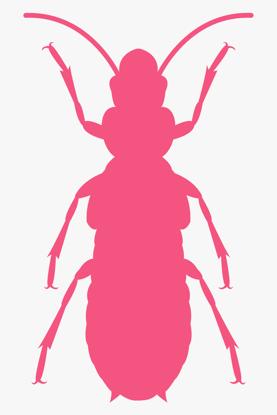 Silueta Termita, Transparent Clipart