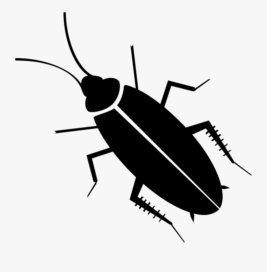Cockroach Clipart, Transparent Clipart