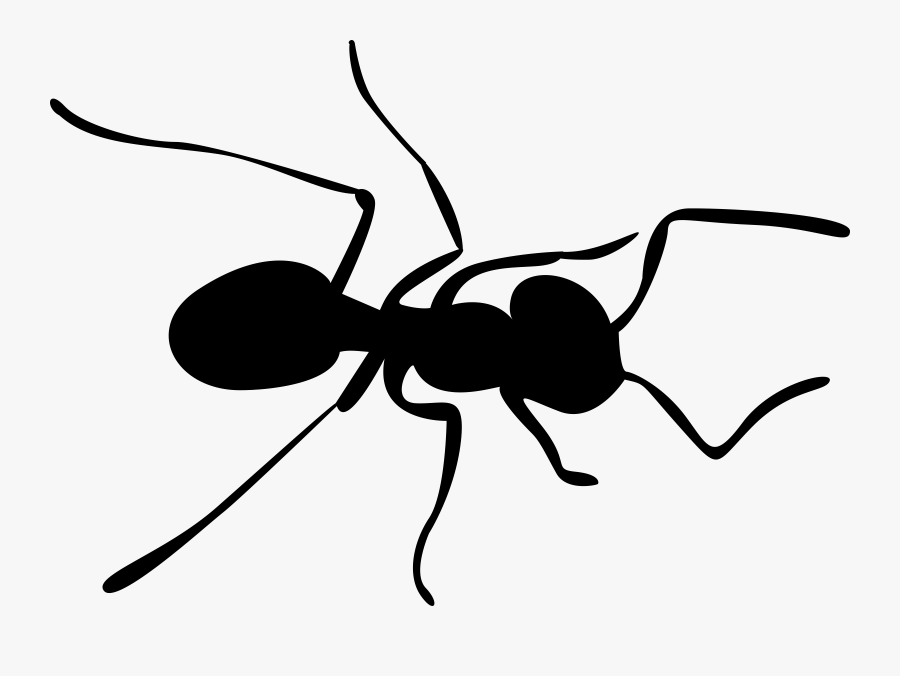 Ant Png, Transparent Clipart