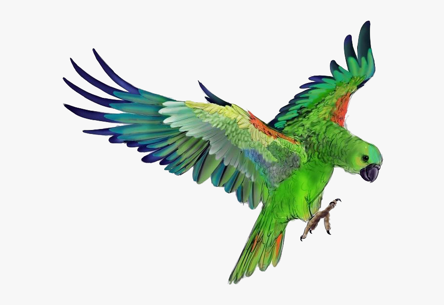 Parrot Png Photo Background - Green Parrot Flying Png, Transparent Clipart