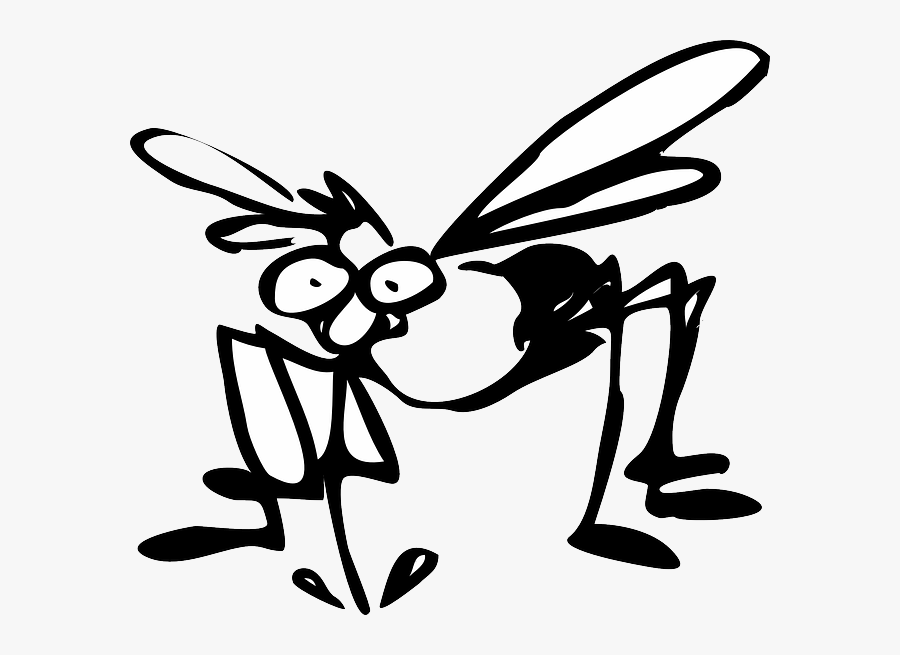 Can T Mosquitoes Suck Fat, Transparent Clipart