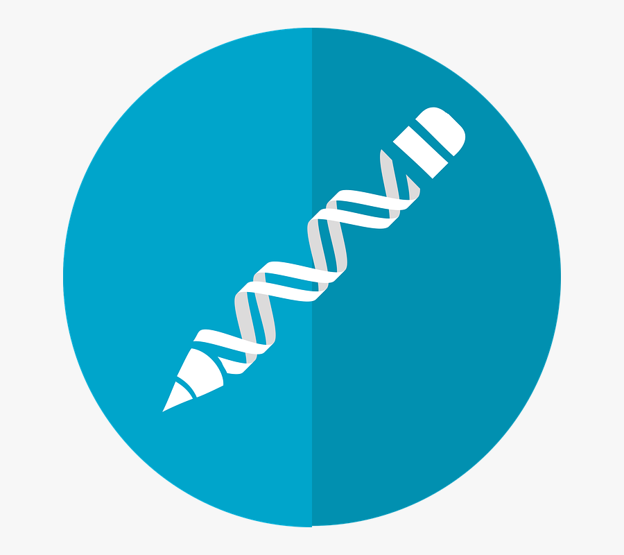 Design And Planning Icon, Transparent Clipart