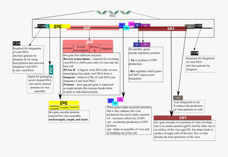 Screenshot, Transparent Clipart