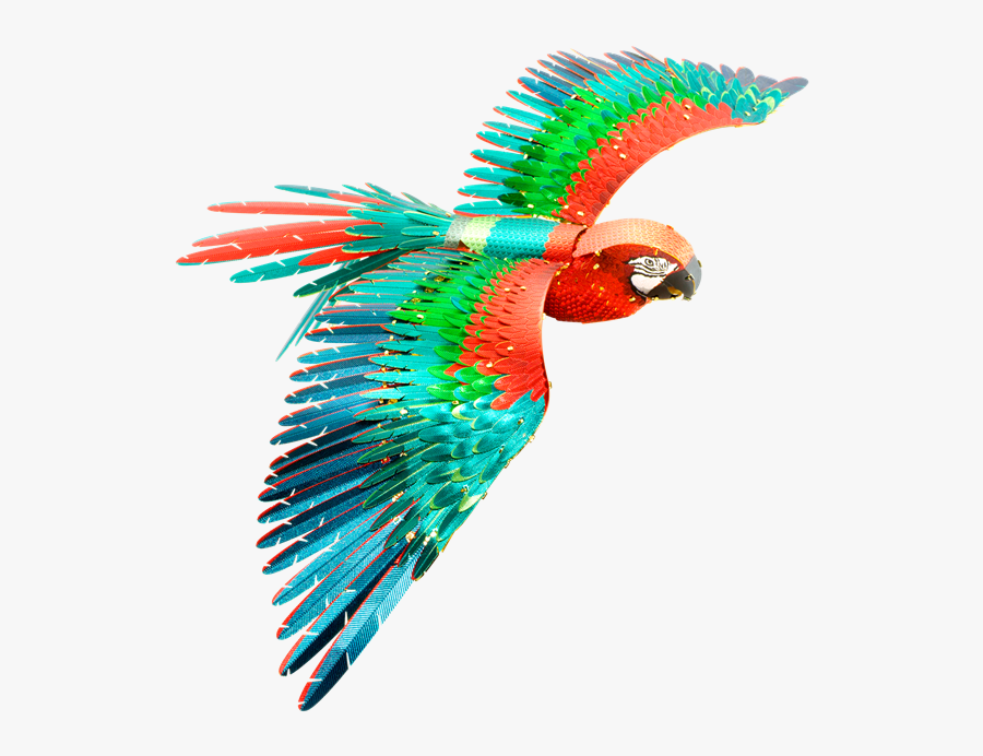 Picture Of Iconx Parrot - Metal Earth Parrot, Transparent Clipart