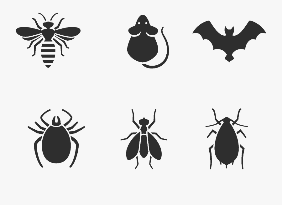 Skadedjur Fluga, Transparent Clipart