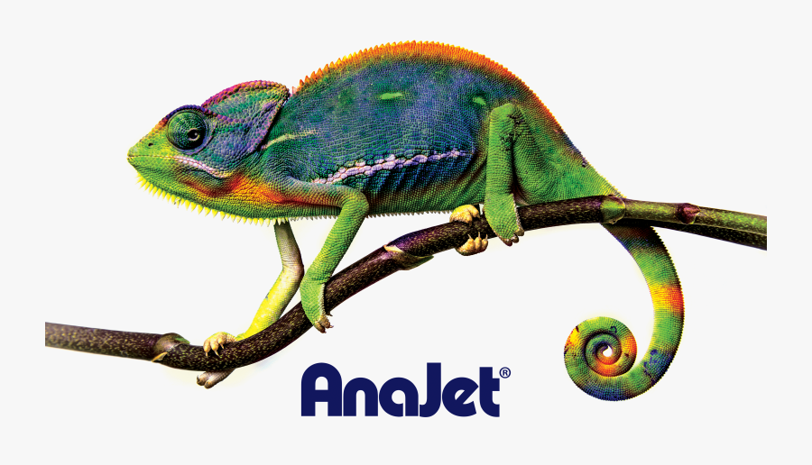 Chameleon Clipart Adaptation, Transparent Clipart