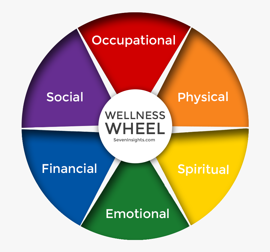 Healthy Habits Wheel, Transparent Clipart