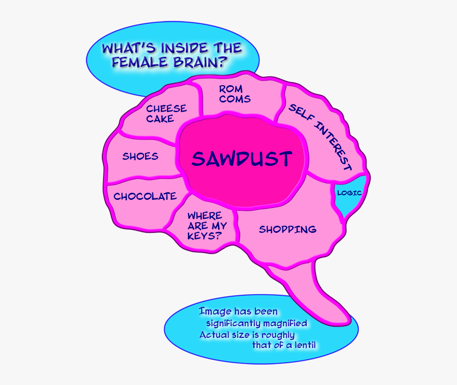 Inside My Brain Funny, Transparent Clipart
