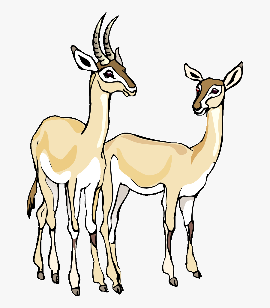 Free Gazelle Clipart Baby Llama Clip Art Baby Llama - Gazelles Clipart, Transparent Clipart