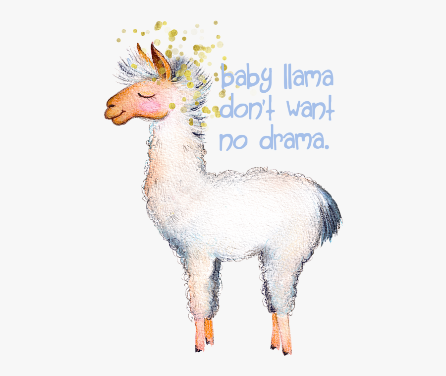 Clip Art Baby Llama Pics - Llama Doesn T Want Your Drama, Transparent Clipart