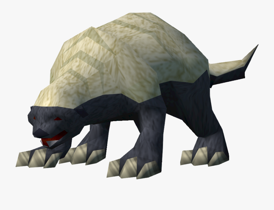 Transparent Honey Png - Tortoise, Transparent Clipart