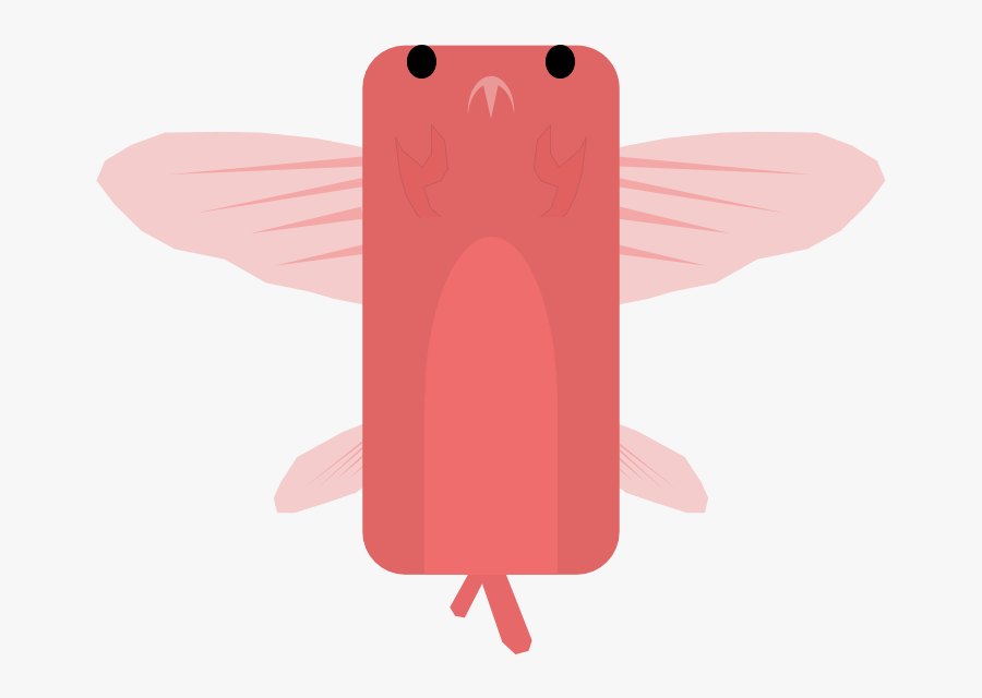 Animalcrab Flying Fish - Illustration, Transparent Clipart