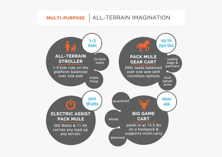 Circle, Transparent Clipart