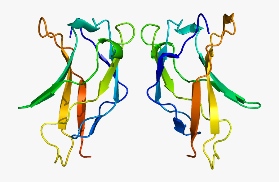 Rel Protein Structure Clipart , Png Download - Ikap Protein, Transparent Clipart