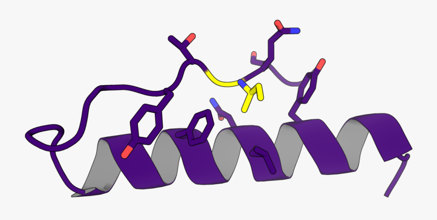 Protein Design With Rosetta, Transparent Clipart