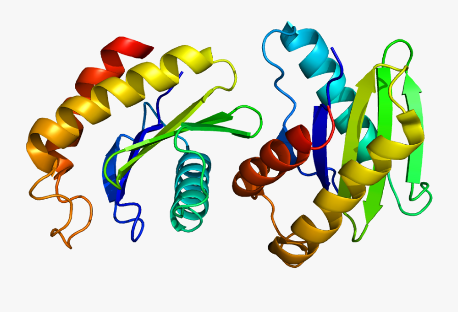 Protein Sec22b Pdb 1ifq, Transparent Clipart